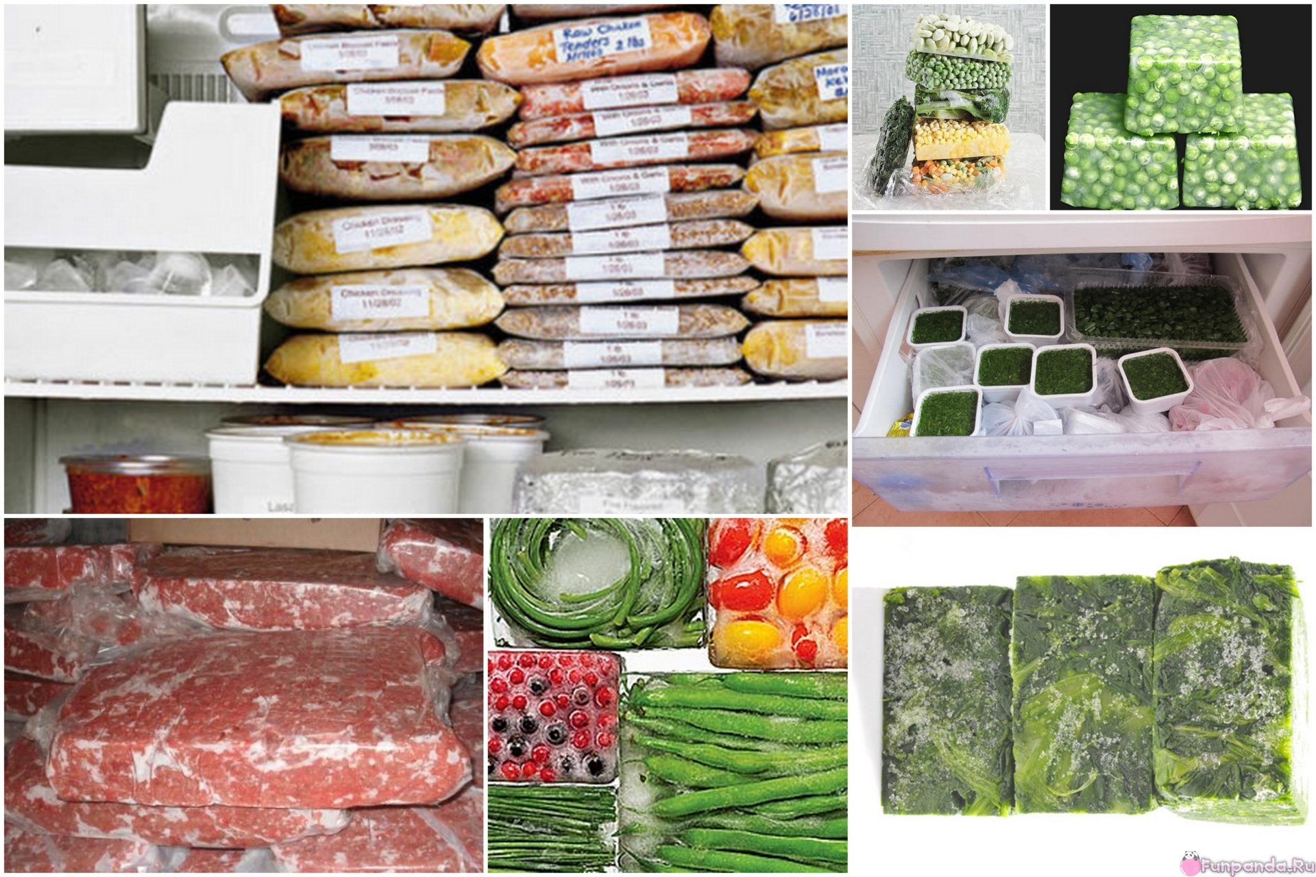 Запас полуфабрикатов. Заготовки в морозилку овощи. Хранение продуктов. Заморозка овощей в морозильной камере. Продукты в морозилке.